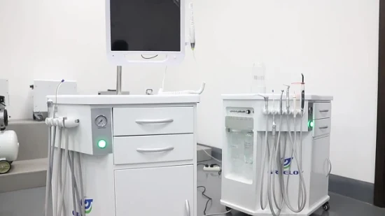 Veterinary Dental Equipment Set LED Built-in Air Compressor Luxury Mobile Cheap Price Kid Portable Unidad Dental Unit Chair