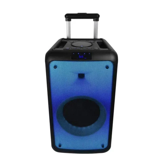 Hot Sale High Quality PRO Audio Trolley Speaker with Colorful LED Light Wireless