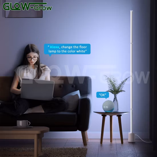 Multicolor Effects Mood Setting Dimmable Memory Function LED Floor Standing Lamp Corner Light for Christmas Home Decoration5 Buyers