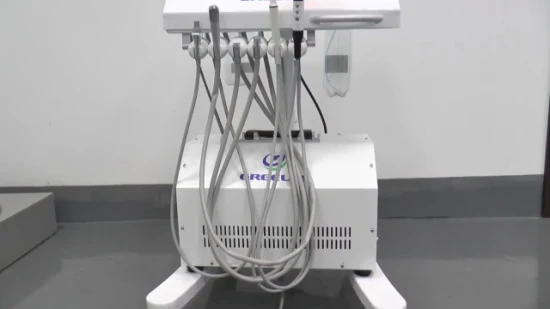 Vet Clinic Hospital Hot Sales Portable Dental Unit Chair with LED Curing Light